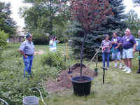 DSCN0127.JPG (53669 bytes)