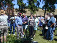 DSCN0133.JPG (51760 bytes)